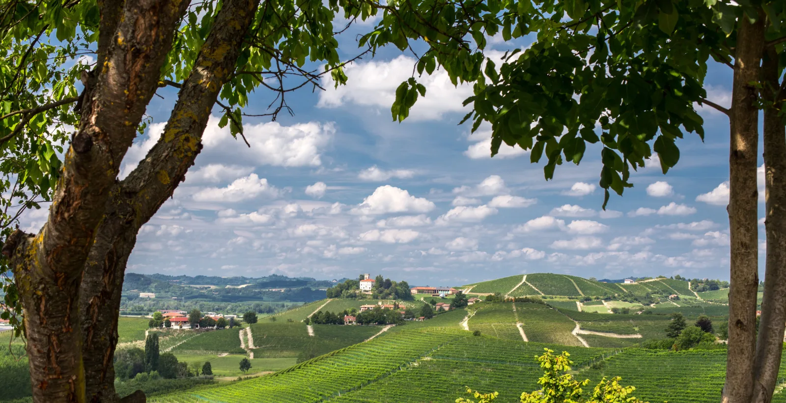 Offerte e pacchetti Hotel Langhe & Monferrato Costigliole d'Asti - Langhe Monferrato Piemonte